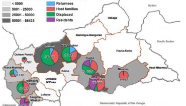 Central African Republic: REACH support to the Rapid Response Mechanism 2015 overview