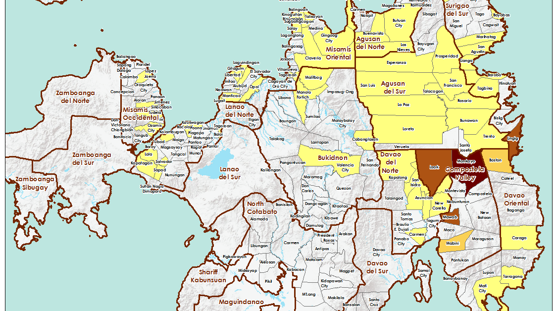 REACH assessing Typhoon Bopha damages | Impact